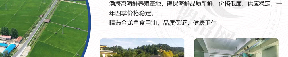 爆火海爷饭加盟