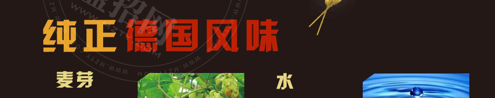 巴酷斯精酿啤酒加盟