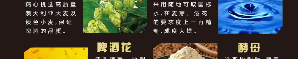 巴酷斯精酿啤酒加盟