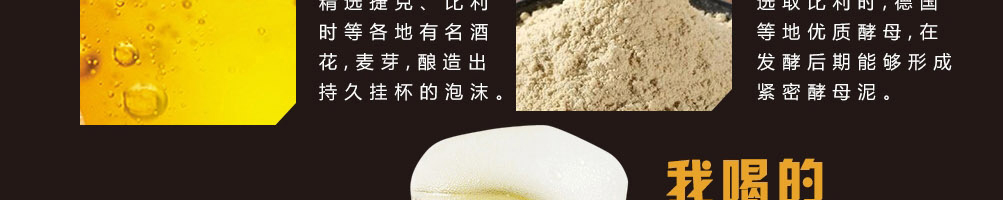 巴酷斯精酿啤酒加盟