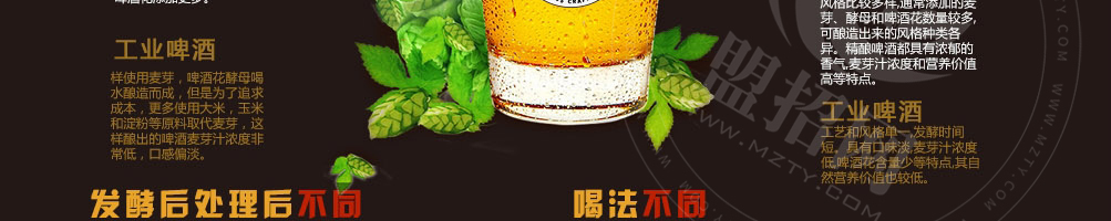 巴酷斯精酿啤酒加盟