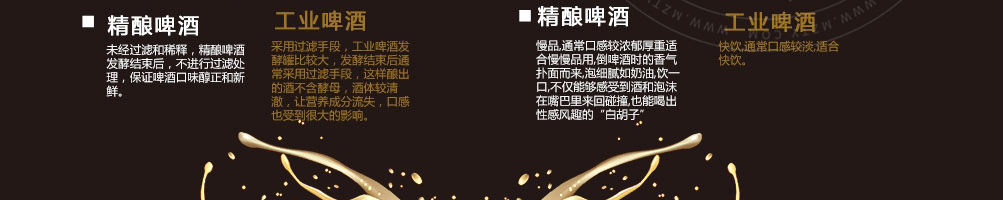 巴酷斯精酿啤酒加盟