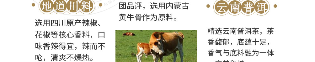 茶牛骨道火锅加盟