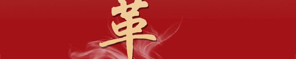 重庆崽儿火锅加盟