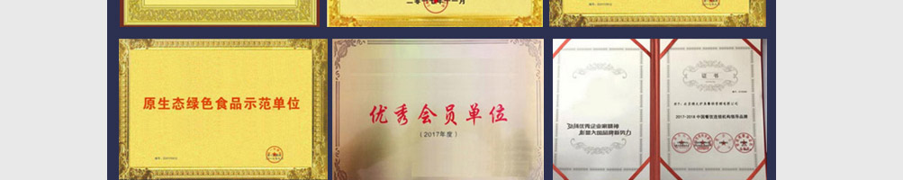 馋小鱼小份烤鱼加盟
