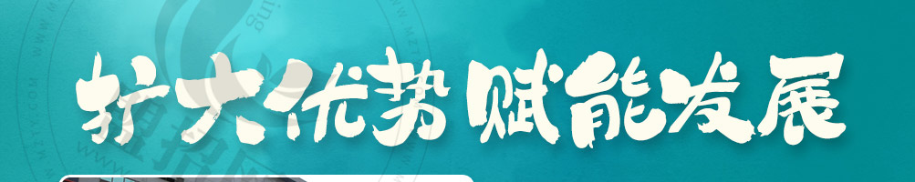 稻西湖炒码饭加盟