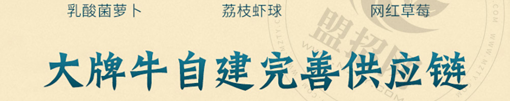 大牌牛雪花牛腩火锅加盟
