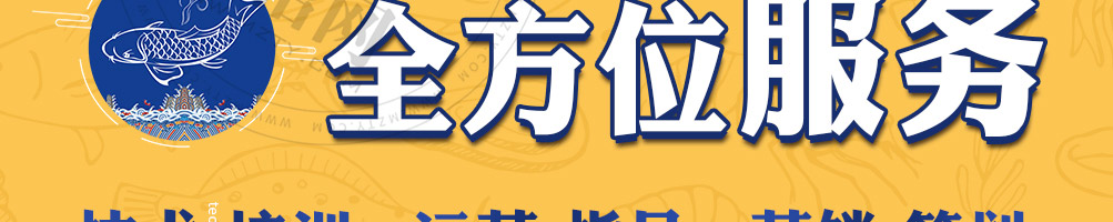 滇君鱼味锡纸包鱼加盟