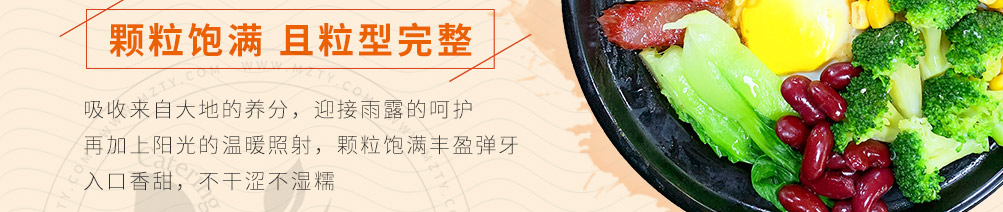 抖米米饭快餐加盟