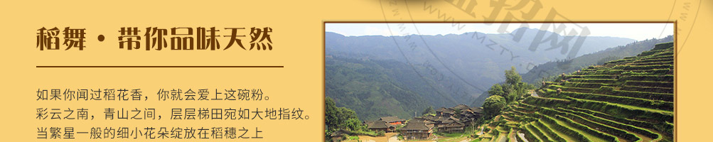 稻舞米粉加盟