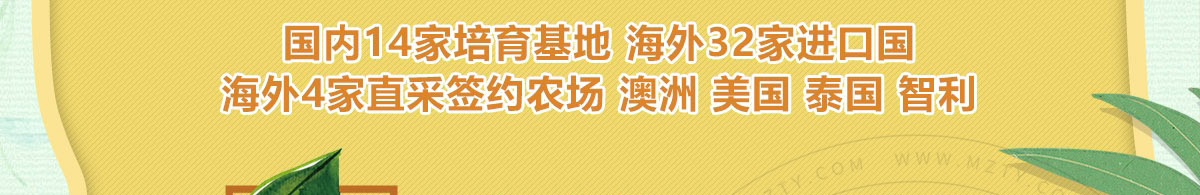 果爱多水果艺术馆加盟