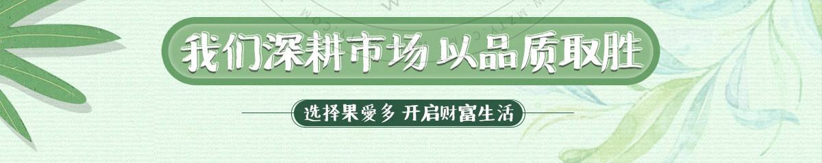 果爱多水果艺术馆加盟