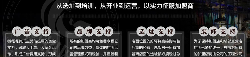徽嘎嘎鸭爪王加盟