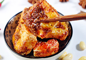 火龙田记臭豆腐加盟