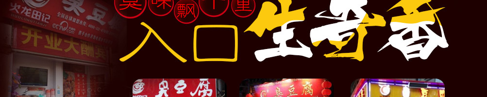 火龙田记臭豆腐加盟
