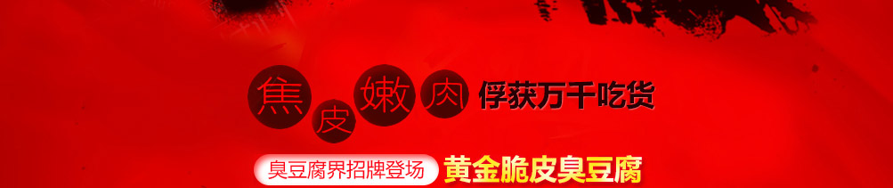 火龙田记臭豆腐加盟