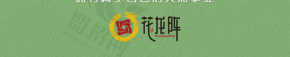 花龙阵花艺餐厅加盟