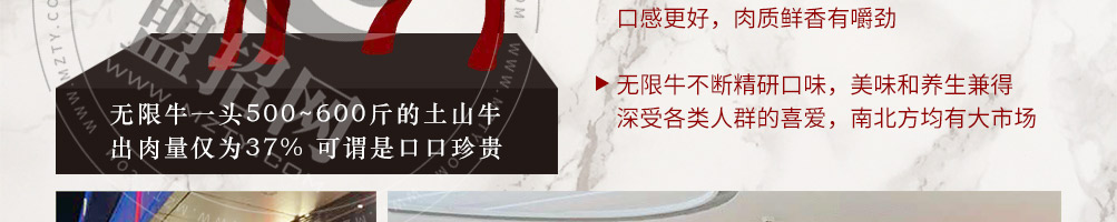 无限牛火锅料理加盟