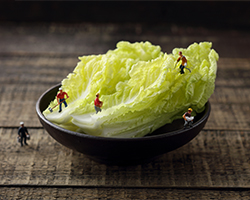 禾你蟹逅芝士蟹煌米粉加盟