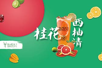 黑羊社奶茶加盟