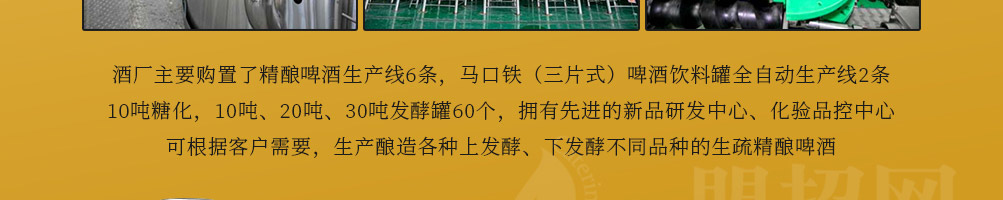 金霜精酿啤酒加盟