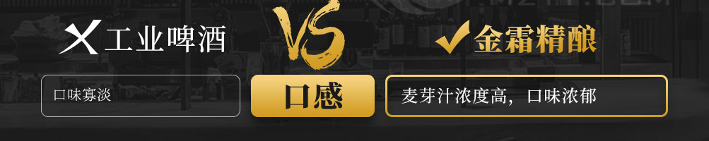 金霜精酿啤酒加盟