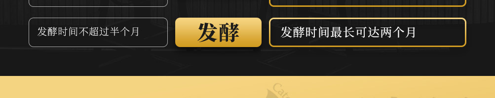 金霜精酿啤酒加盟