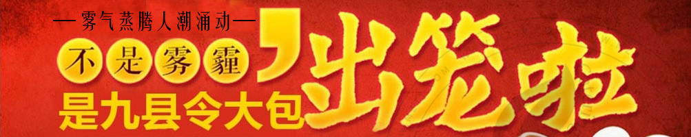 九县令包子加盟