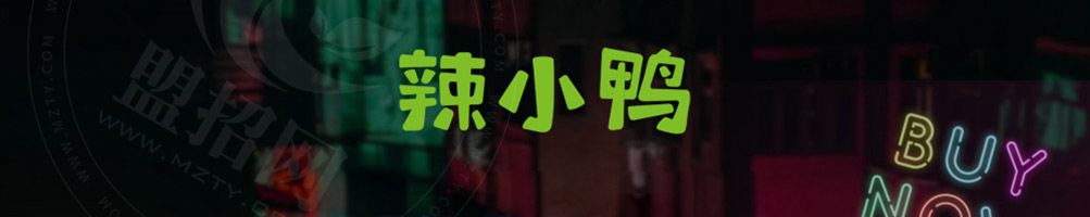 辣小鸭加盟