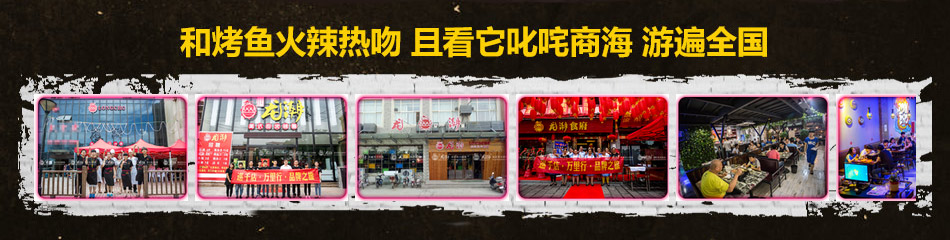 龙潮美式炭火烤鱼加盟
