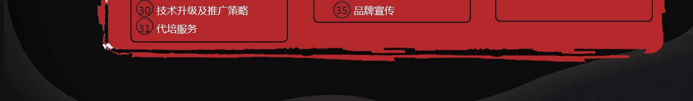 领鲜潮牛火锅加盟
