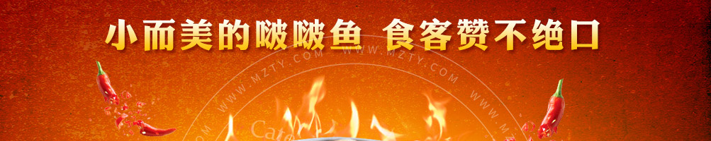 喵董啵啵鱼加盟
