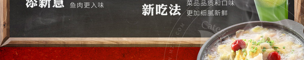 喵董啵啵鱼加盟