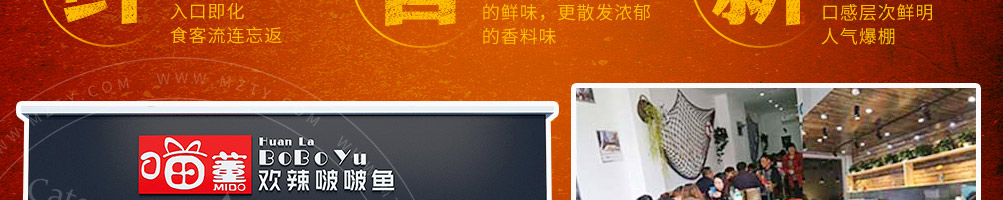 喵董啵啵鱼加盟