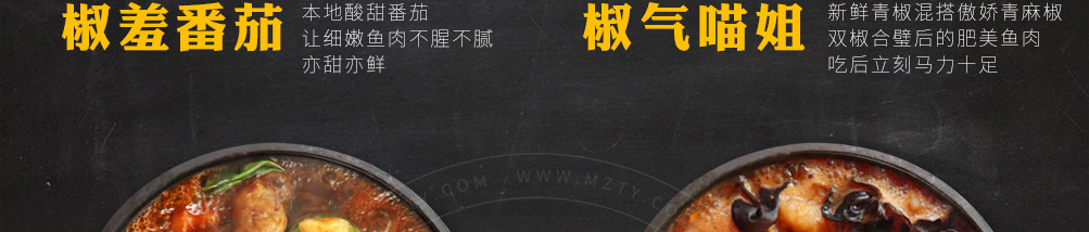 喵董啵啵鱼加盟