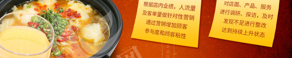 喵董啵啵鱼加盟