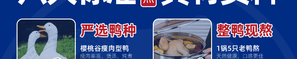 莫老鸭加盟