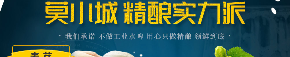 莫小城精酿啤酒加盟