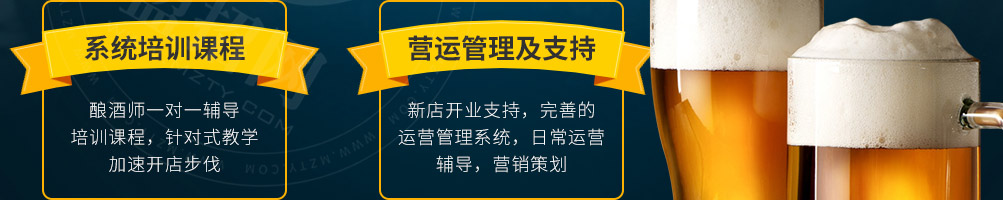 莫小城精酿啤酒加盟