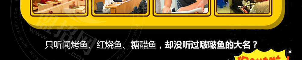 喵小二啵啵鱼加盟
