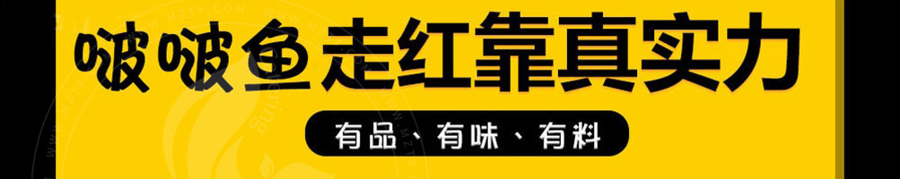 喵小二啵啵鱼加盟