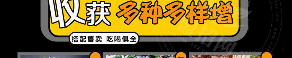 喵小二啵啵鱼加盟