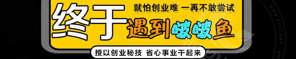 喵小二啵啵鱼加盟