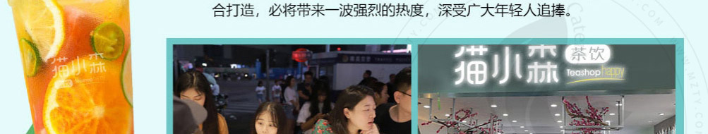 猫小森茶饮加盟