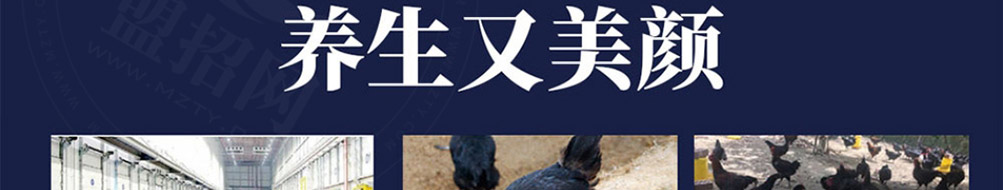 美颜素猪肚鸡汤加盟