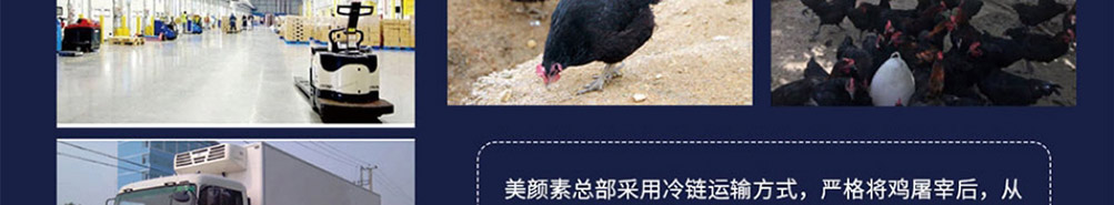 美颜素猪肚鸡汤加盟