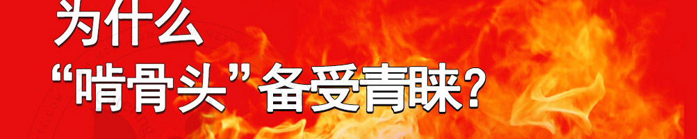 马永贞功夫酱骨头加盟