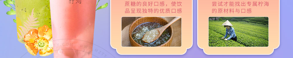 柠海茶饮加盟