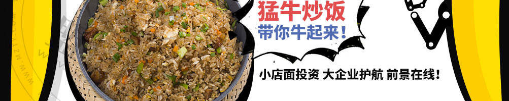 牛起来猛牛炒饭加盟