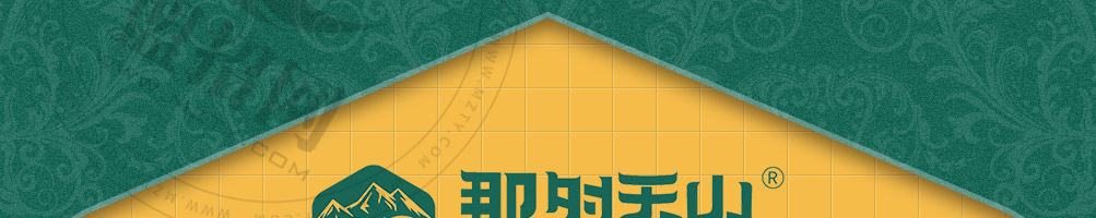 那时天山新疆手抓饭加盟
